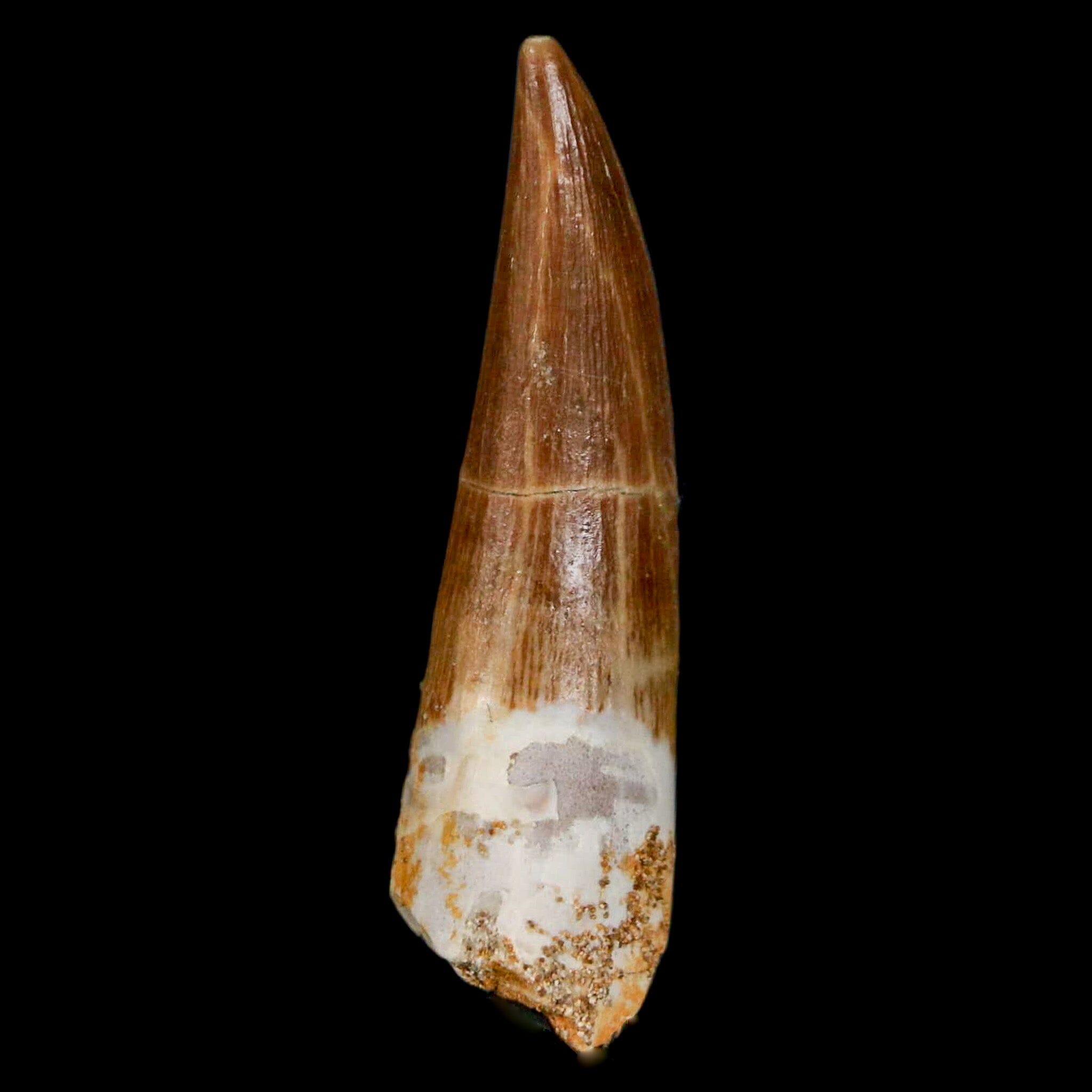 1.6