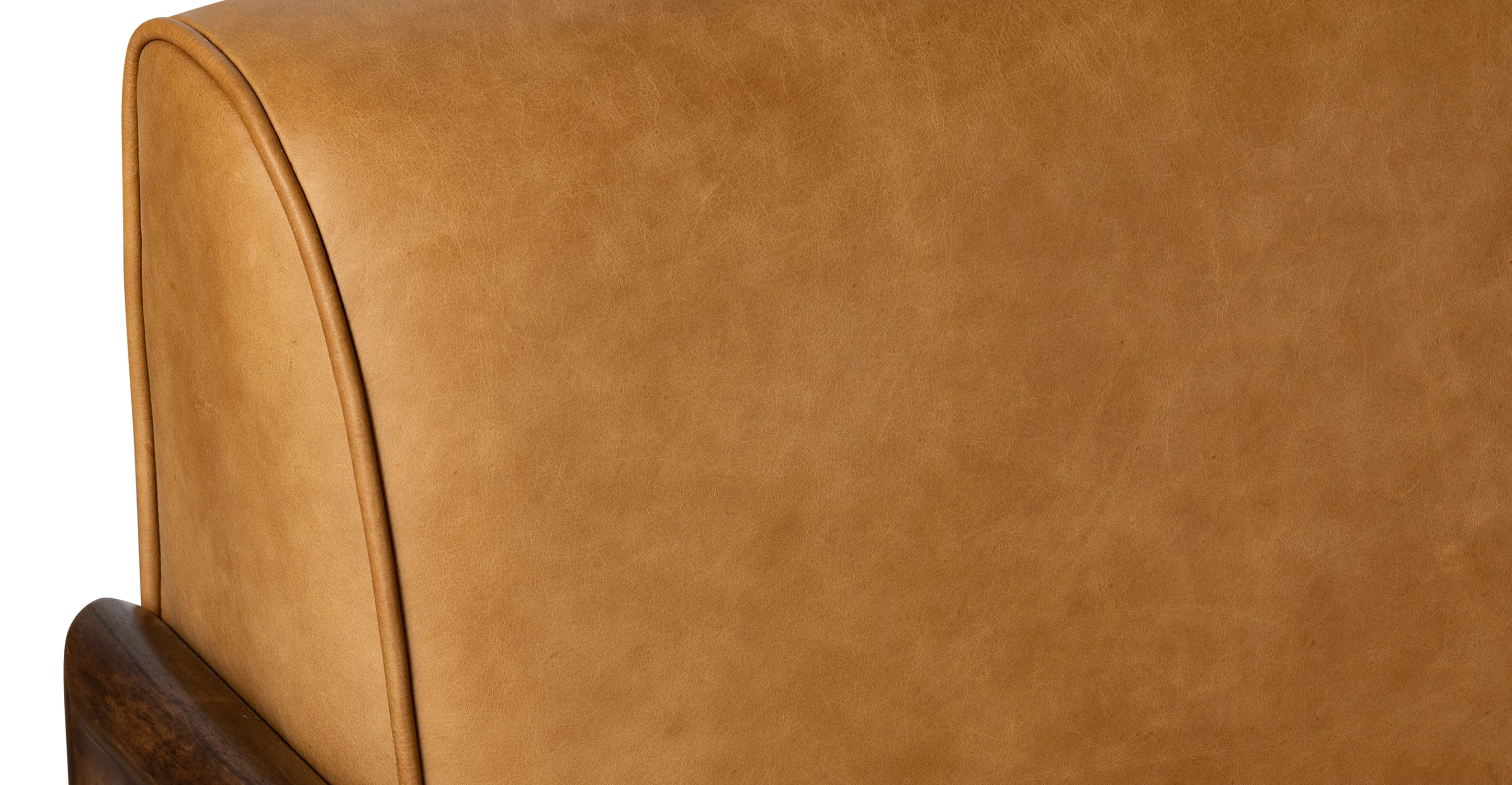 Viborg Modern Lounge Chair - Comfortable Accent Chair for Living Room, Bedroom, Office - Soft Upholstered Fabric with Sturdy Wooden Legs - Perfect for Relaxing, Reading, or Napping