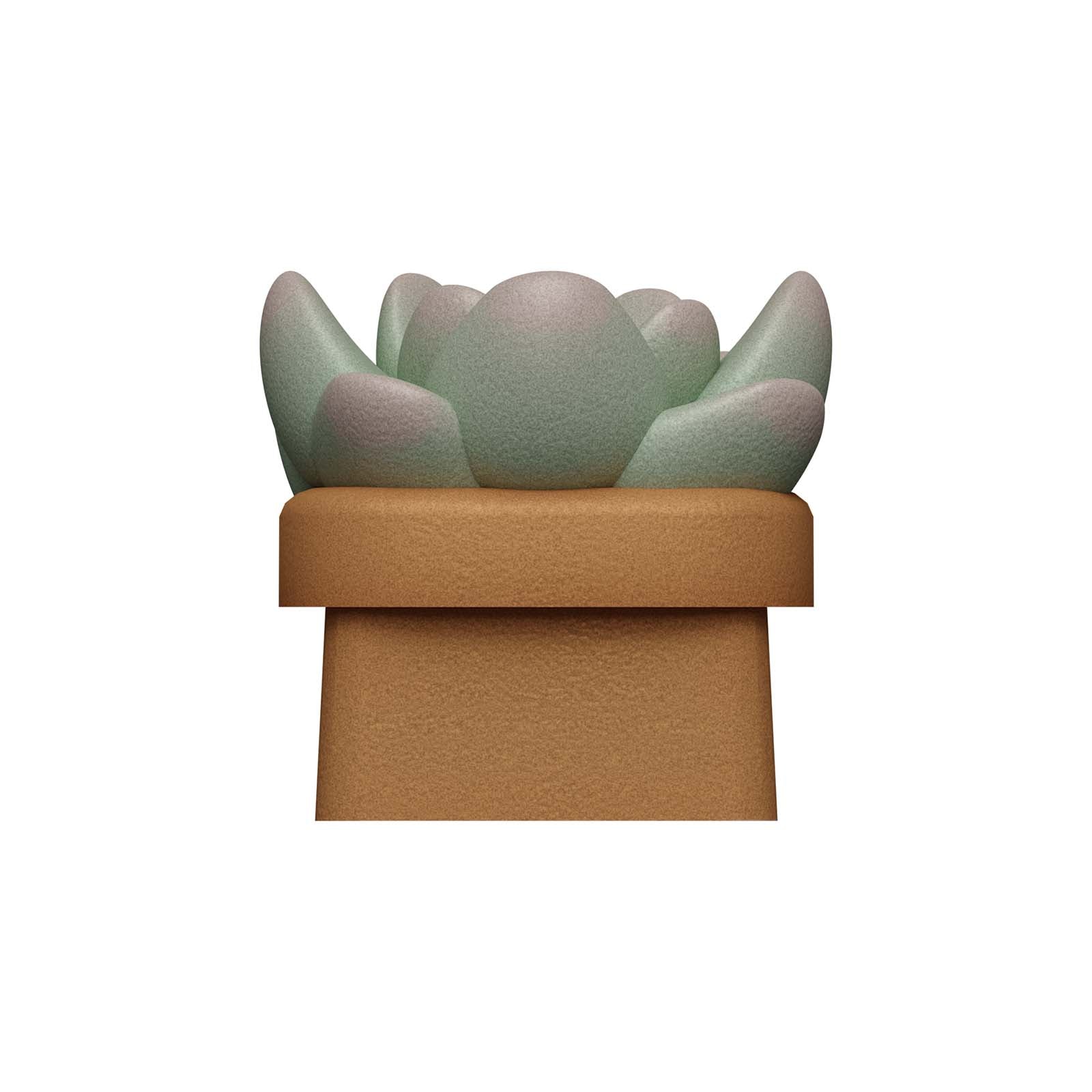 HX3D Custom Keycap - Sally the Succulent Design for Mechanical Keyboards | Perfect for Gaming & Typing Enthusiasts