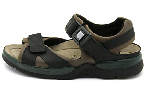 Dark Brown/Black