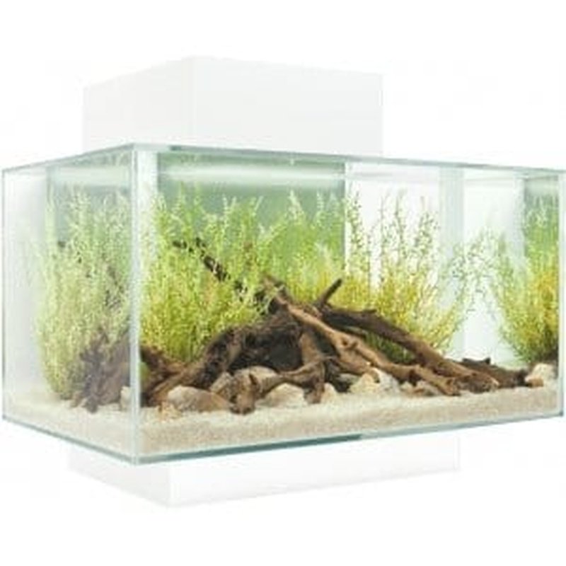 Fluval EDGE 2.0 LED Aquarium Kit - 6 Gallon (23L) Modern Fish Tank with White Finish - Perfect for Home, Office, or Classroom Aquascaping