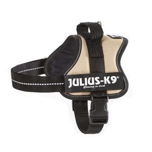 Julius Earth Mini-Mini Size - Premium Quality & Stylish Design for Everyday Use | Perfect for Home, Office, and Travel Accessories