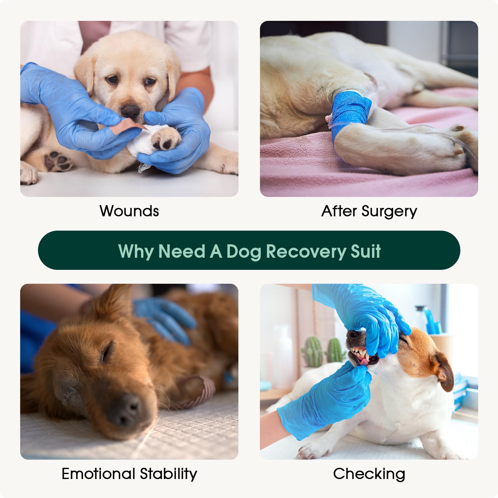 Kuoser Post-Surgery Dog Recovery Suit - Soft Breathable Surgical Onesie for Female & Male Dogs - Alternative to E-Collar & Cone - Anti-Licking Wound Protection - Pink - Perfect for Spay/Neuter Recovery & Hot Weather Cooling