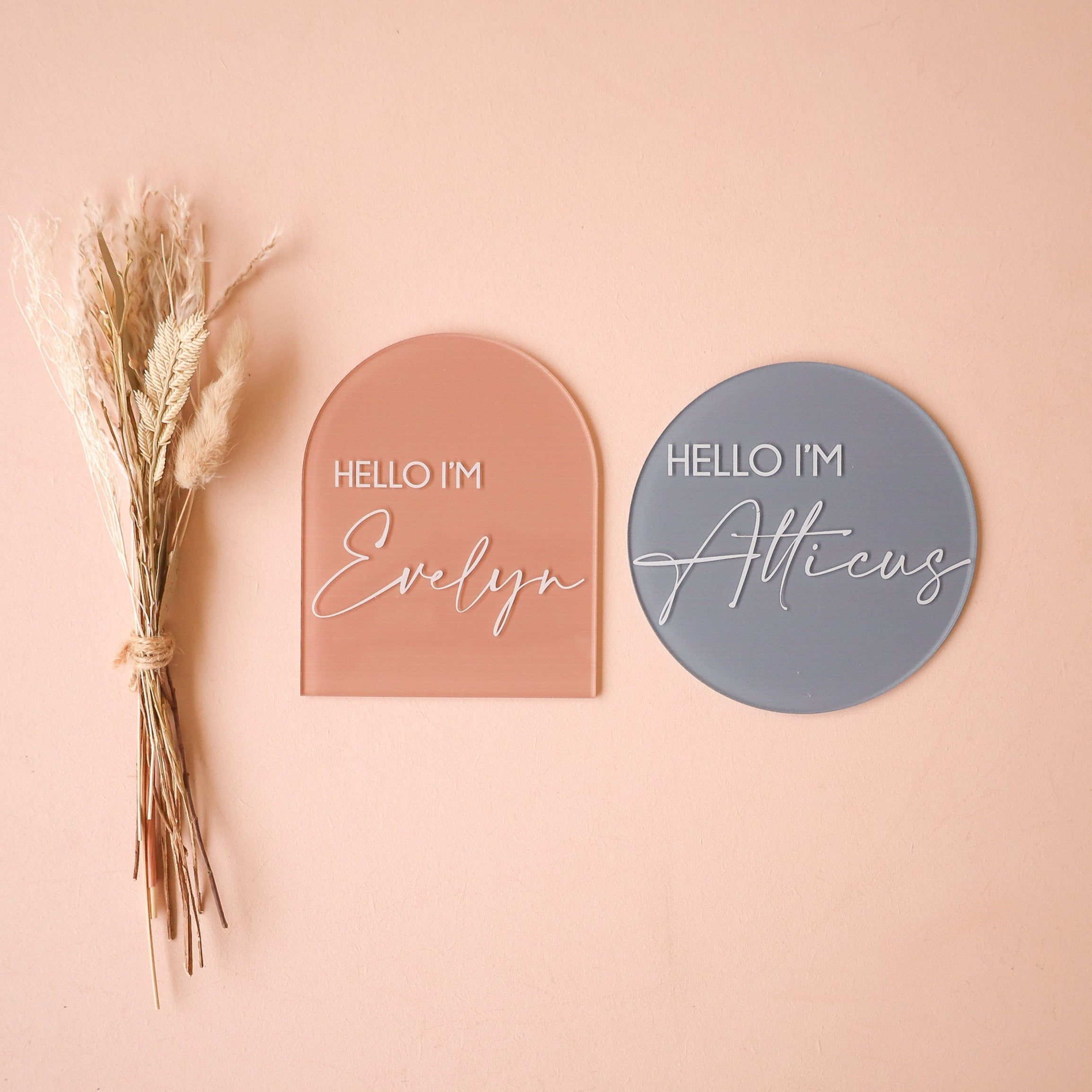 Custom Acrylic Disc - Personalized 'Hello I'm...' Name Tag for Office, Events & Networking | Durable & Lightweight