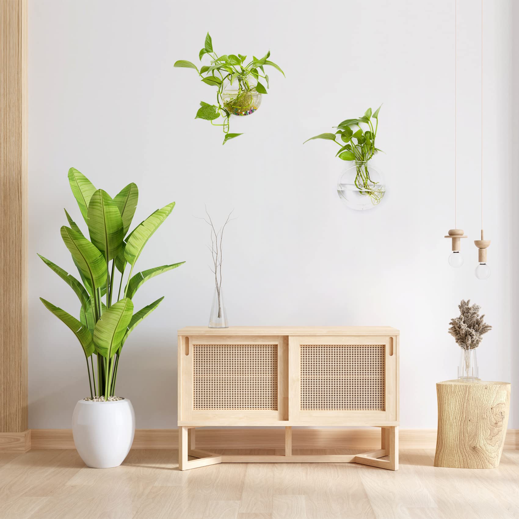 LB Hanging Glass Terrarium Planter - 2 Pack Air Plant Holder, Wall Mounted Flower Vase for Hydroponic Plants | Perfect for Home, Office & Garden Decor, Indoor Vertical Garden Display