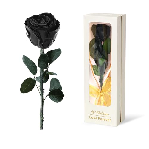 Preserved Black Rose