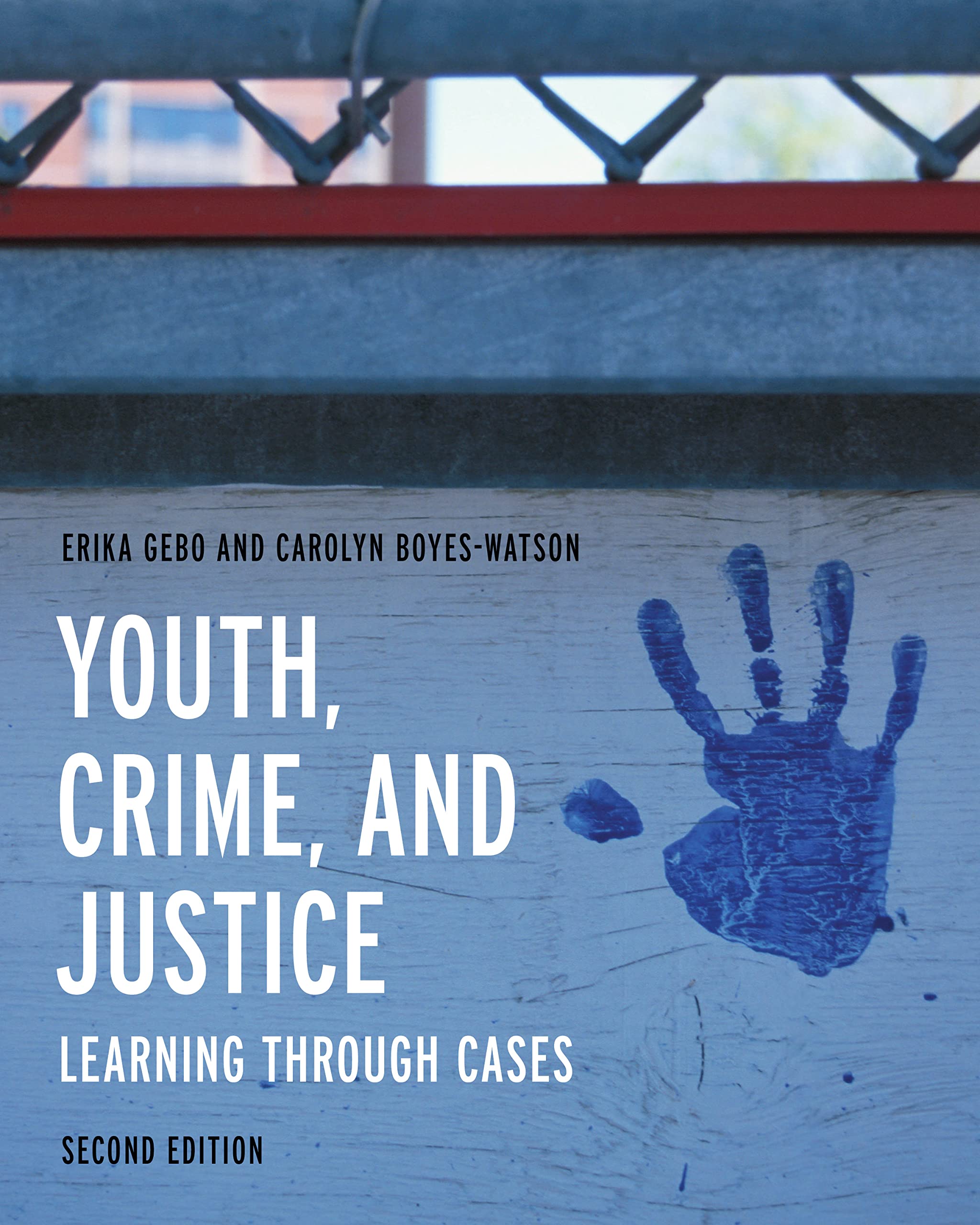 Youth Crime and Justice: Case Studies for Legal Education | Understanding Juvenile Delinquency & Legal Outcomes