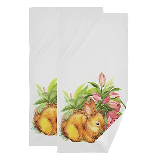 Tulip Bunny