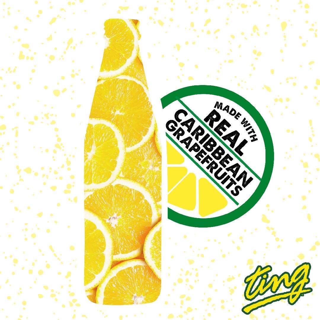 Ting Lightly Carbonated Soda - 20 Oz Cans (24 Pack) | Refreshing Citrus Flavored Sparkling Drink | Perfect for Parties, BBQs & Office Refreshments