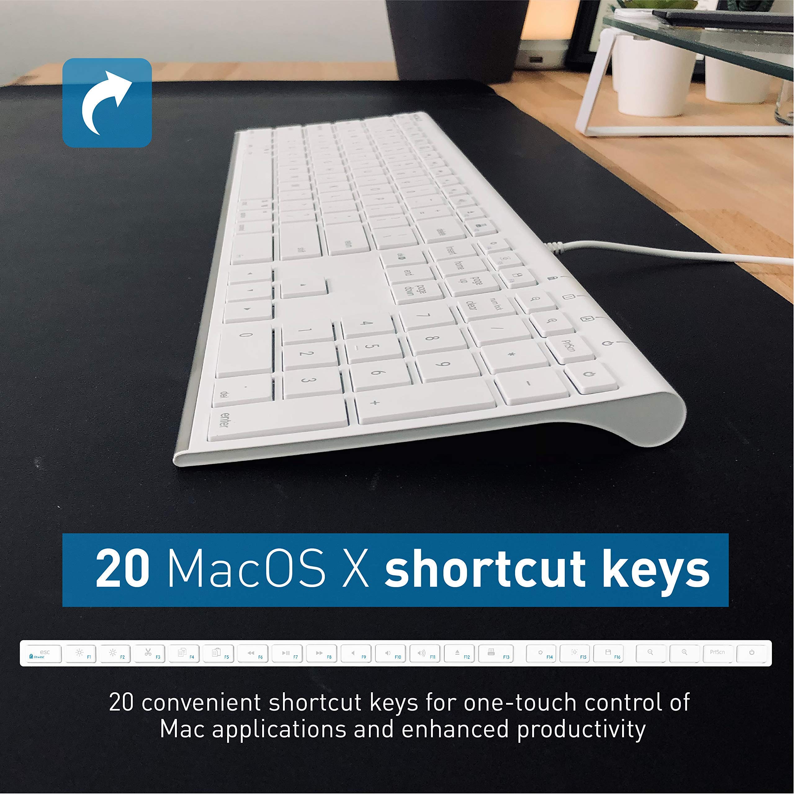 Macally Ultra Slim Wired Keyboard & Silent Mouse Combo with Ergonomic Laptop Stand - Perfect for Home Office, Remote Work & Productivity Setup