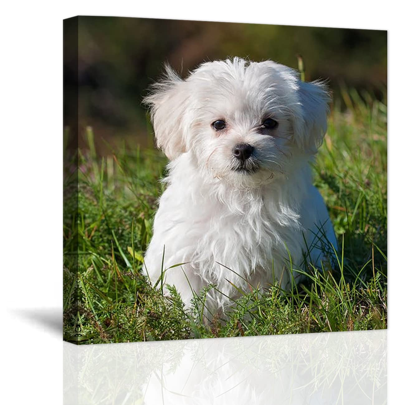 Custom Personalized Canvas Prints - Family Pet Photo Wall Art - 30