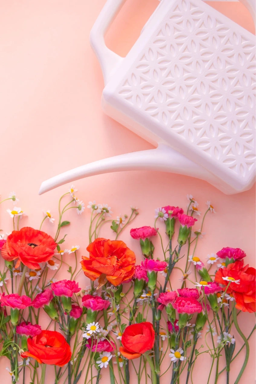 Modern Breeze Block Design Watering Can in Ivory - Perfect for Indoor Plants, Garden Decor, and Home Office Accessories