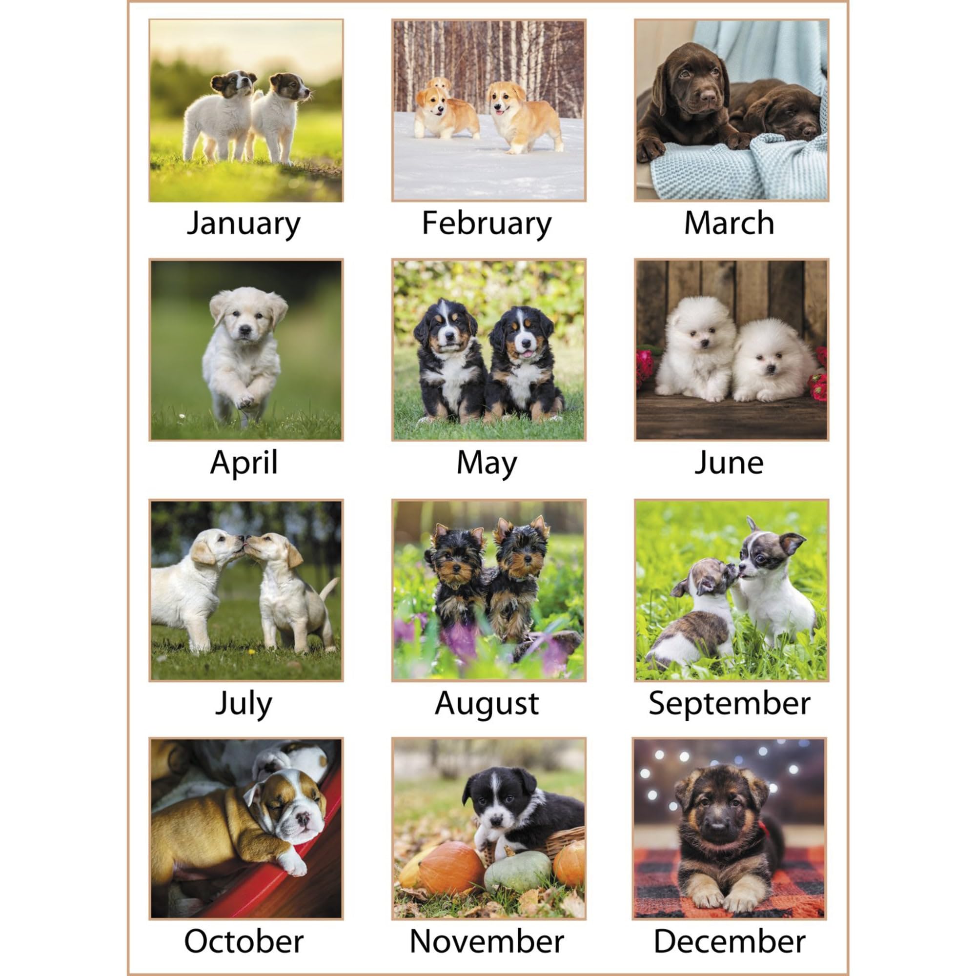 2023 AT-A-GLANCE Monthly Desk Calendar Planner - 21.75