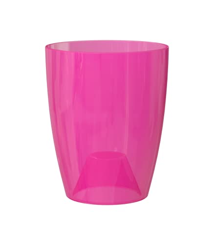 Pink , Pink
