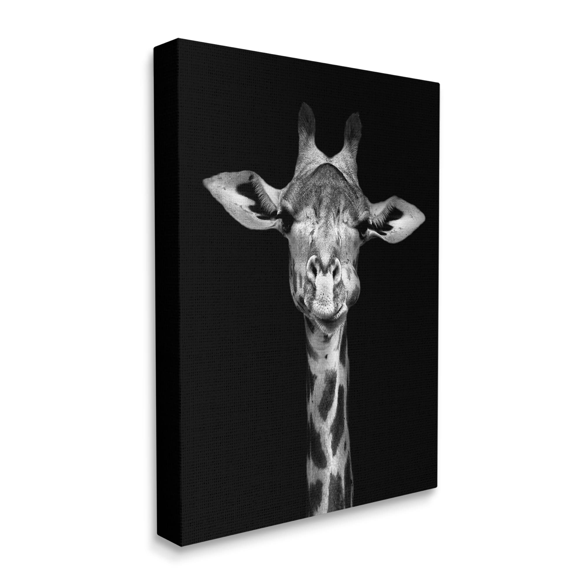 Stupell Industries Black and White Zebra Stripes Detailed Photography Portrait Wall Art - Modern Animal Print Decor for Living Room, Bedroom & Office