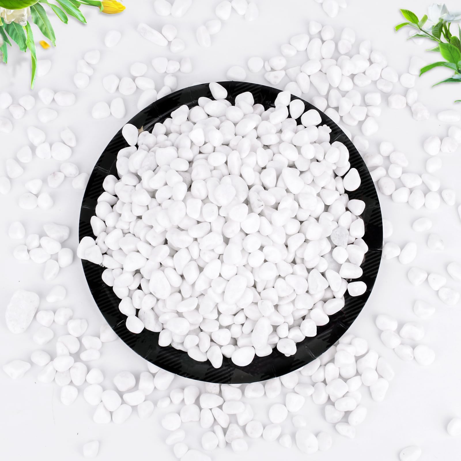 Natural White River Rocks for Potted Plants - 3/5 Inch Small Decorative Pebbles for Succulents, Cactus, Aquariums, Fish Tanks, Vases & Terrariums - 1 LB Indoor Plant Gravel for Home Decor & Landscaping