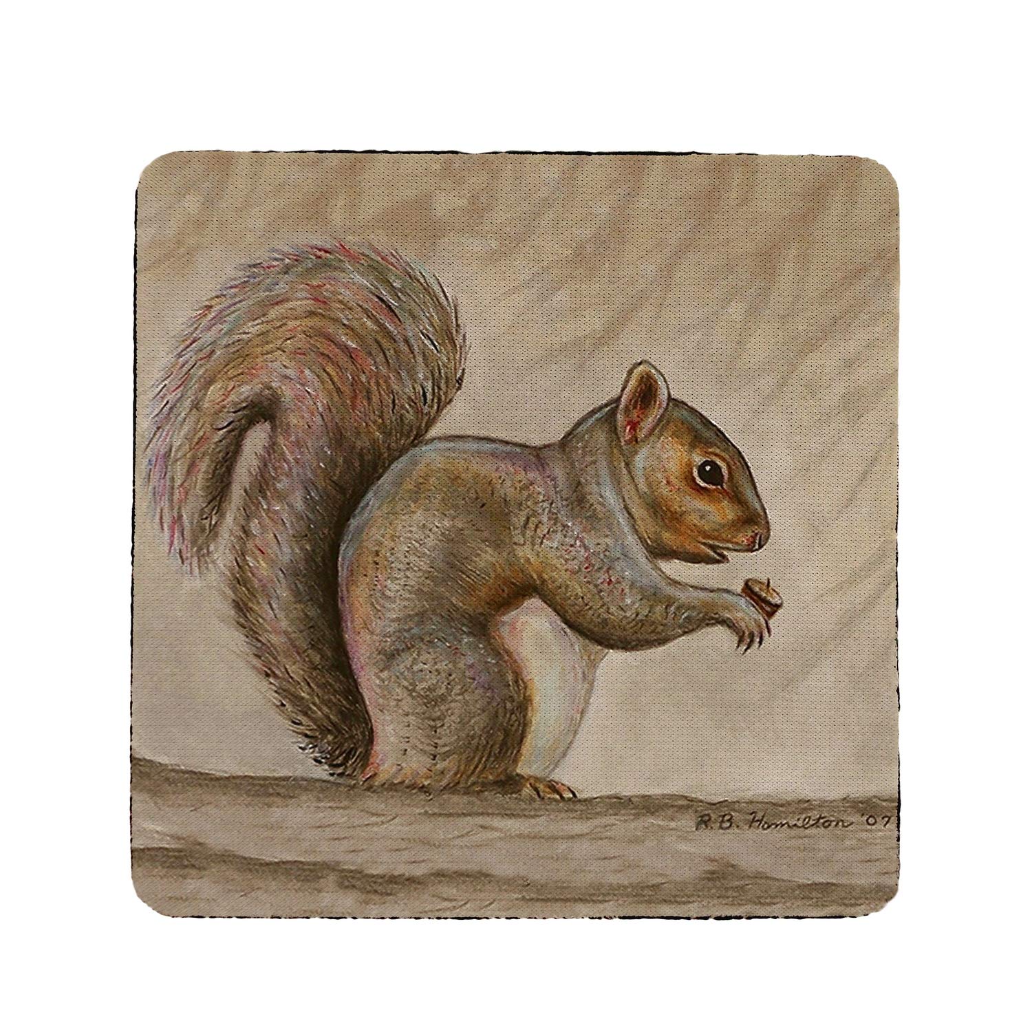 Betsy Drake Squirrel Coaster Set of 4 - Absorbent Cork Drink Coasters for Coffee Table, Bar, and Home Decor - Cute Animal-Themed Home Accessories for Parties and Gifts