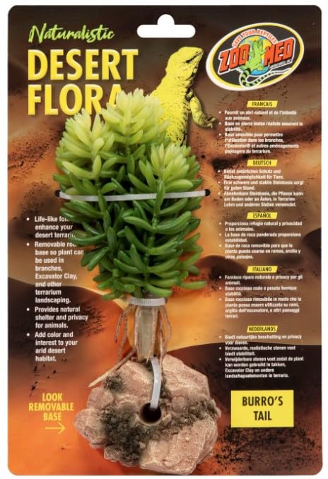 Zoo Med Burros Tail Succulent Plant - Authentic Desert Flora for Terrariums, Fairy Gardens & Home Decor