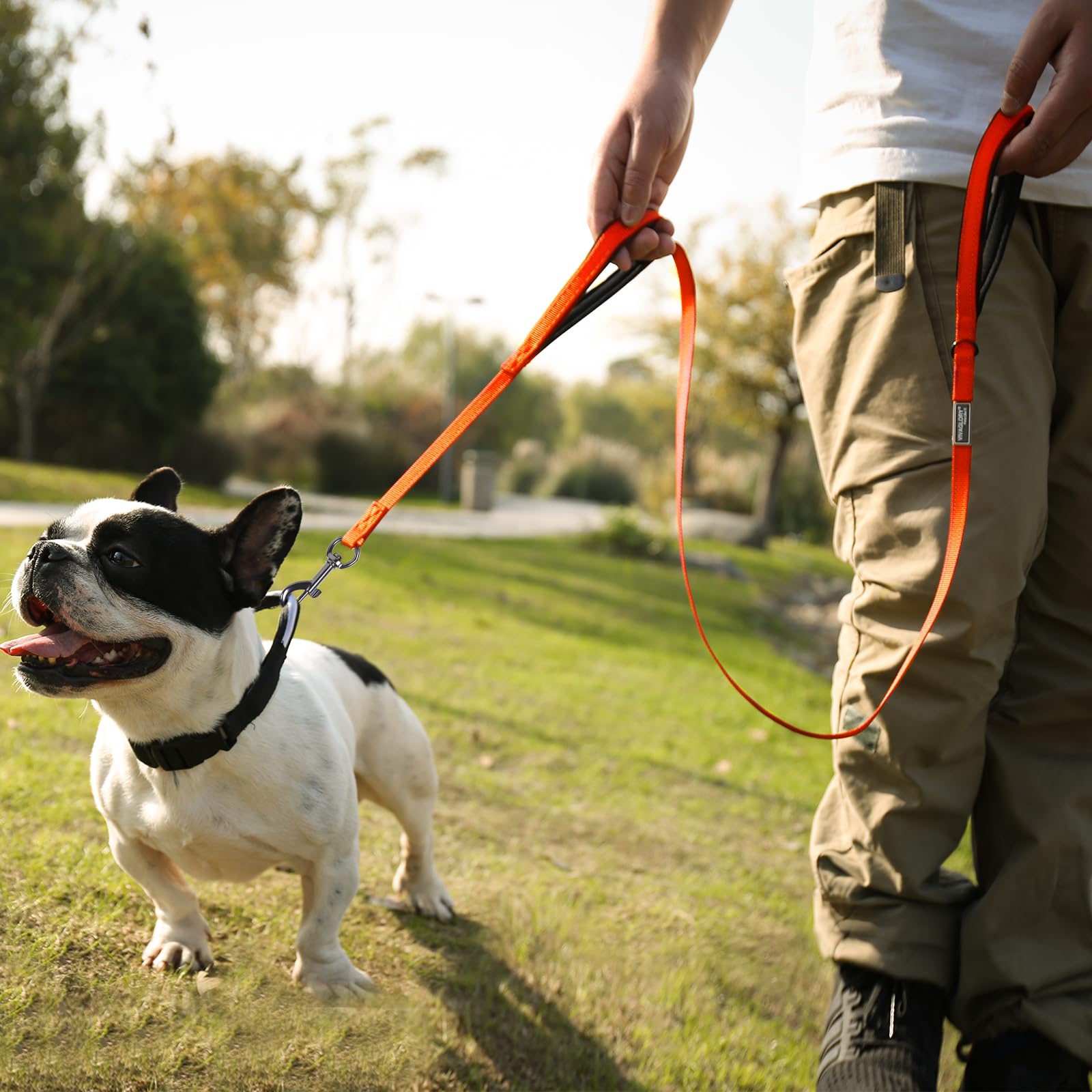 VIVAGLORY Heavy Duty Reflective Dog Leash with Dual Padded Handles - Strong Metal Hook Training Lead for Large Dogs - Orange - Perfect for Walking, Running & Nighttime Safety