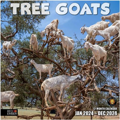 04 - Tree Goats