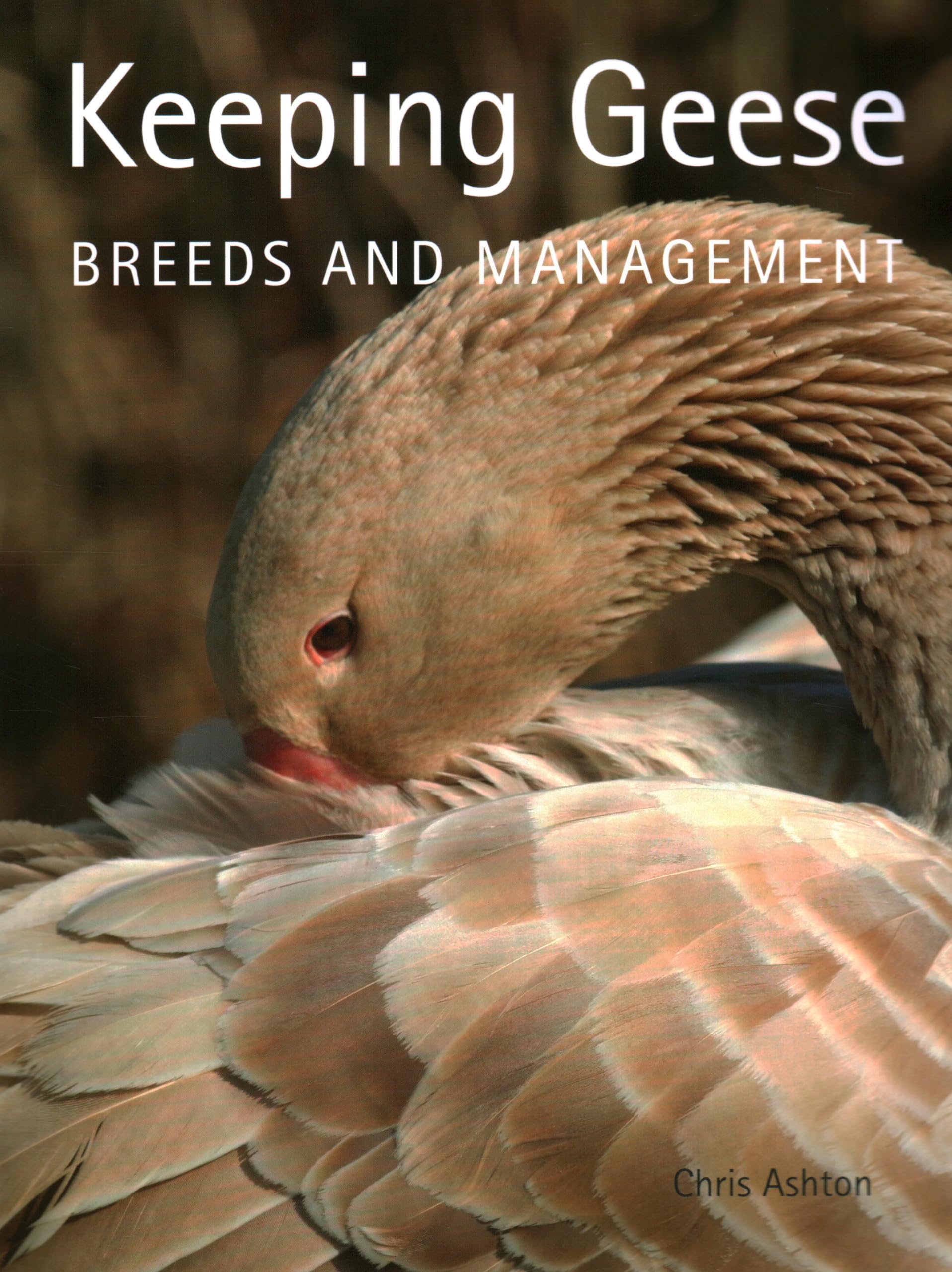 Best Goose Breeds for Farming - Complete Guide to Raising & Managing Geese | Backyard Poultry, Homesteading & Small Farm Solutions