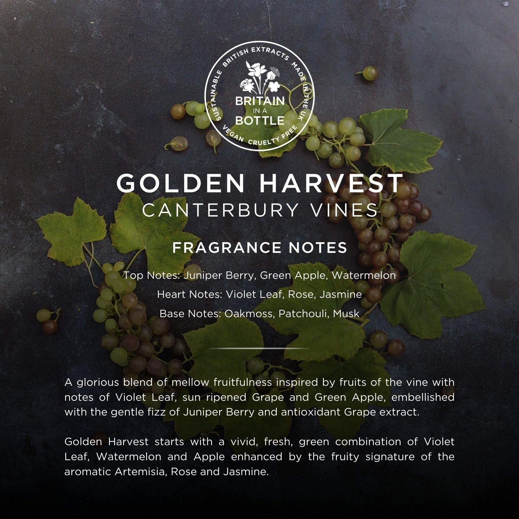 Noble Isle Golden Harvest Bubble Bath & Shower Gel 250ml - Luxury Bath & Body Wash for Relaxation & Hydration - Perfect for Spa Nights & Self-Care Rituals