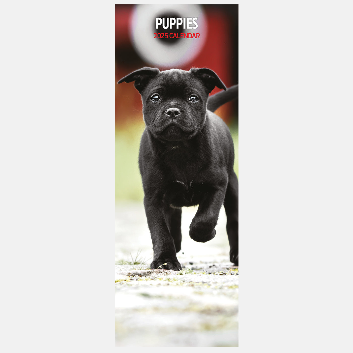 2025 Slim Puppy Calendar - Cute Dog Planners & Organizers for Pet Lovers | Perfect for Home, Office & Gift Giving