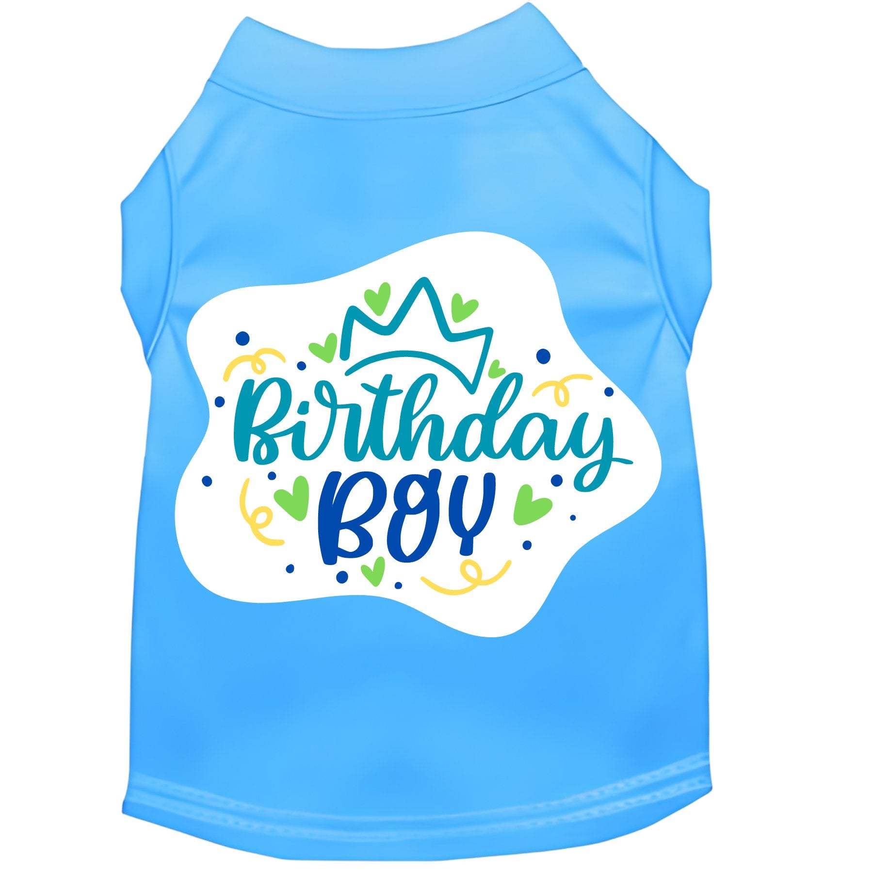 Birthday Boy Shirt for Kids - Cute & Comfortable Birthday Outfit - Perfect for Birthday Parties, Celebrations & Photo Shoots