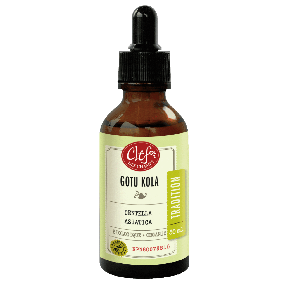 Gotu Kola Extract 50ml - Organic Centella Asiatica Herbal Supplement for Skin Health & Memory Support - Perfect for Daily Wellness & Natural Skincare Routine