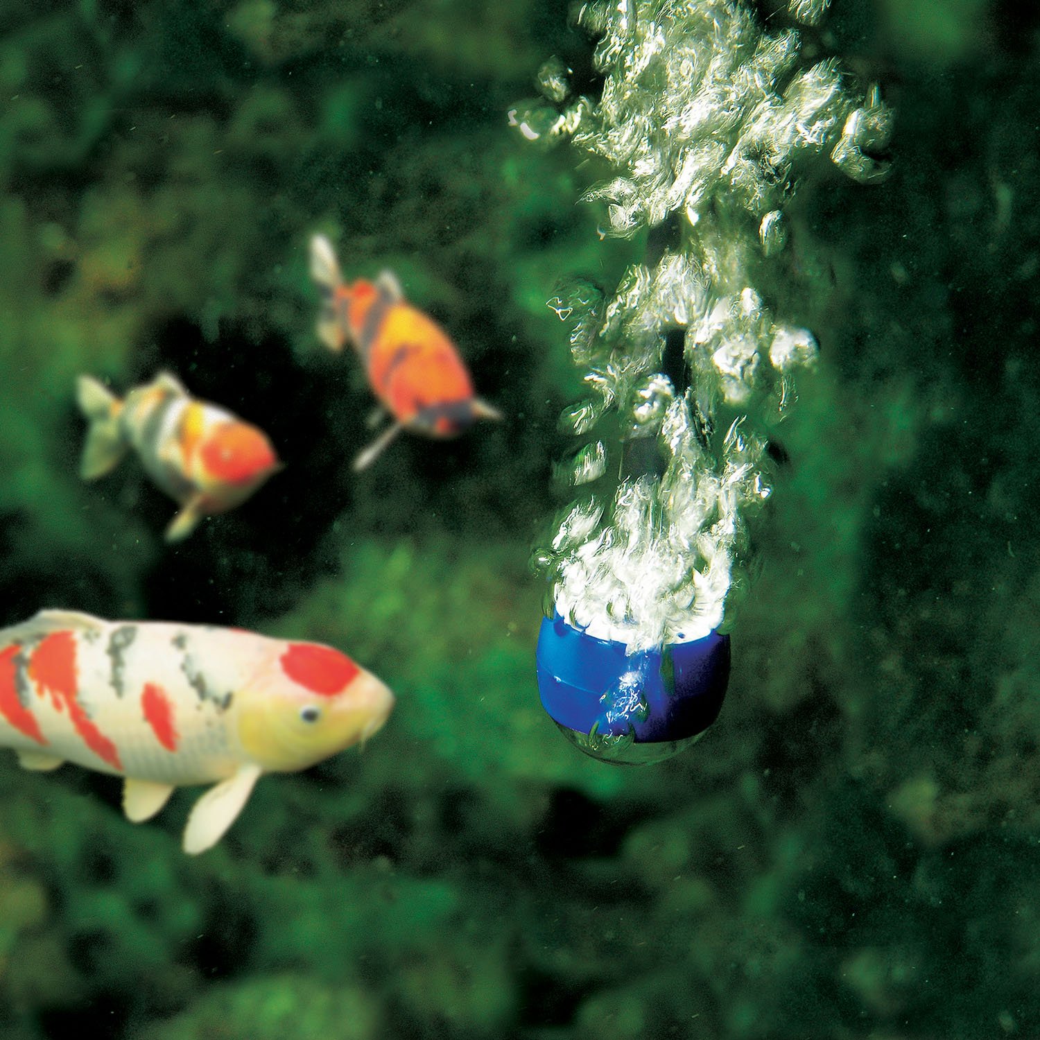 OASE Aquaoxy Air Injector Pump - High-Efficiency Oxygenation for Ponds & Water Features | Perfect for Koi Ponds, Garden Fountains & Aquatic Ecosystems