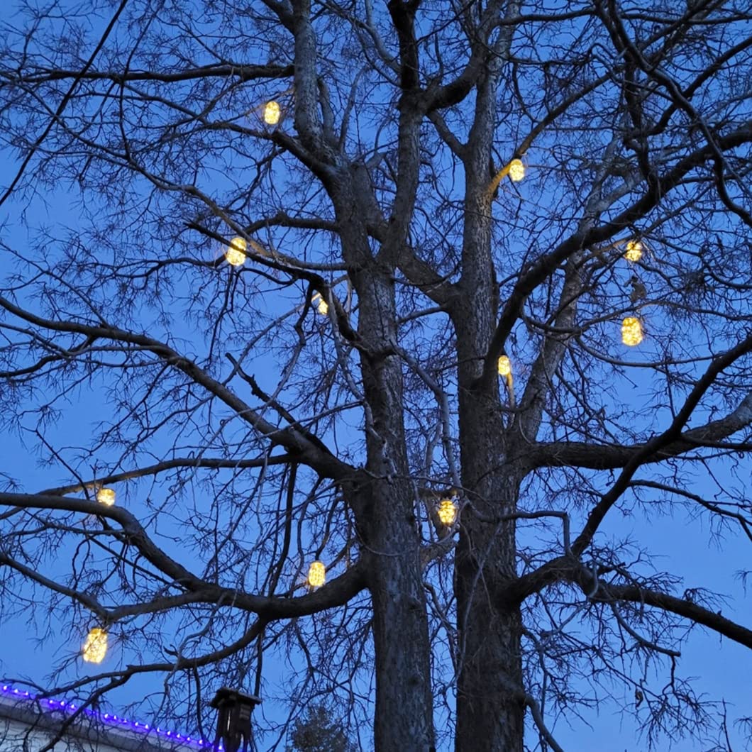 10 Pack Solar Mason Jar Light Lids - 20 LED Fairy String Lights with Hangers, Waterproof & Rust-Resistant for Outdoor Decor - Perfect for Patio, Lawn, Garden, Wedding & Lantern Lighting (Warm White)