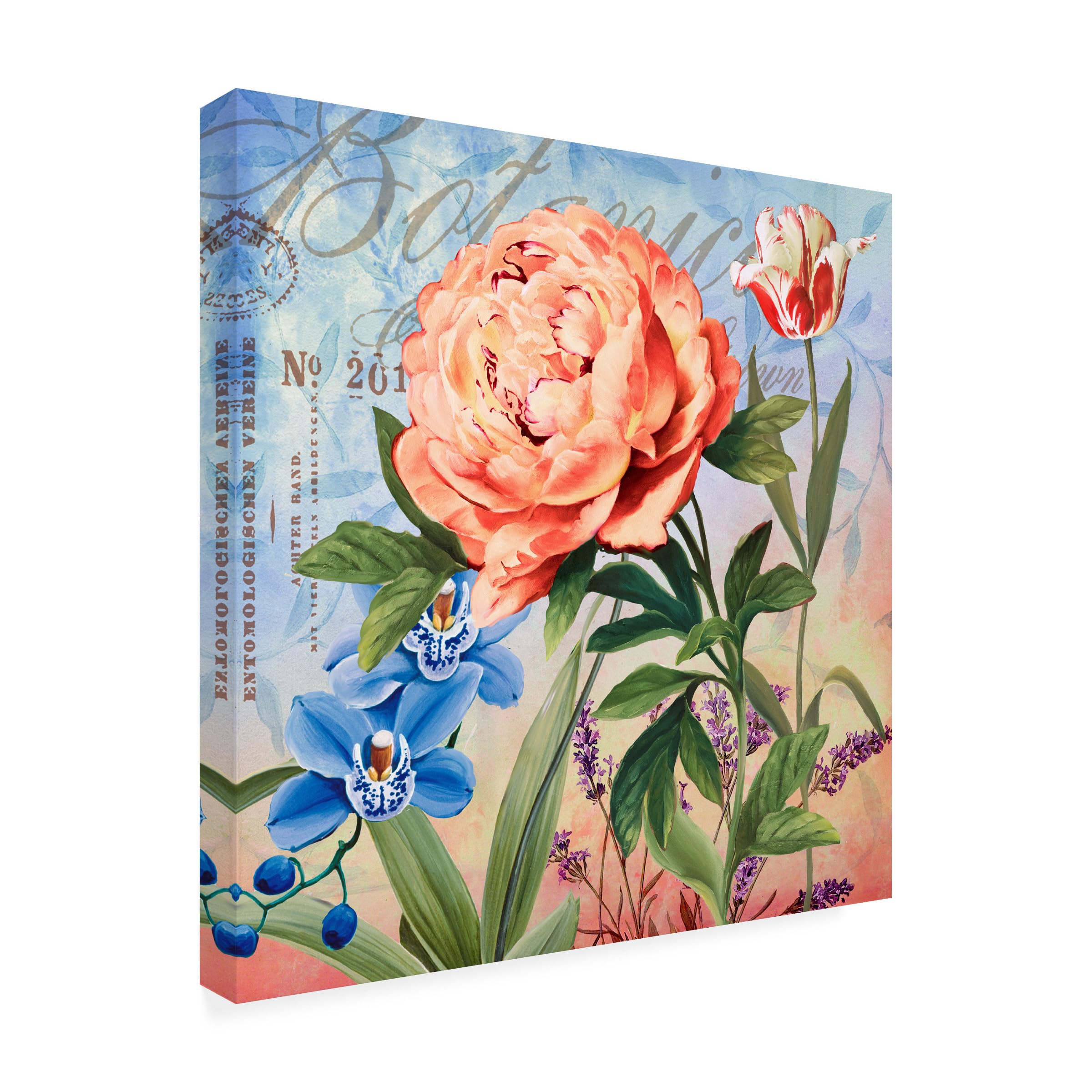 Trademark Fine Art 'Botanique with Peony' Floral Canvas Wall Art - Handmade Painting for Living Room, Bedroom & Office Decor
