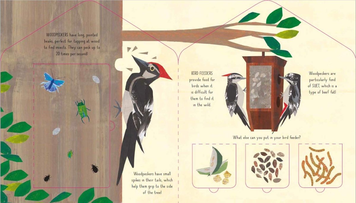 Libby Walden: Bird House - Lift the Flap Discovery Book Illustrated by Clover Robin | Interactive Children's Nature Learning & Bird Watching Activity
