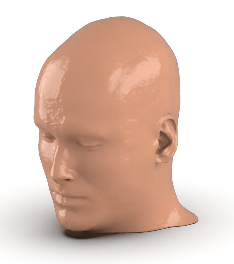 Head and Neck CTA Phantom AVM for CT Scan & X-Ray Training - Medical Imaging Practice, Radiology Education, and Diagnostic Testing
