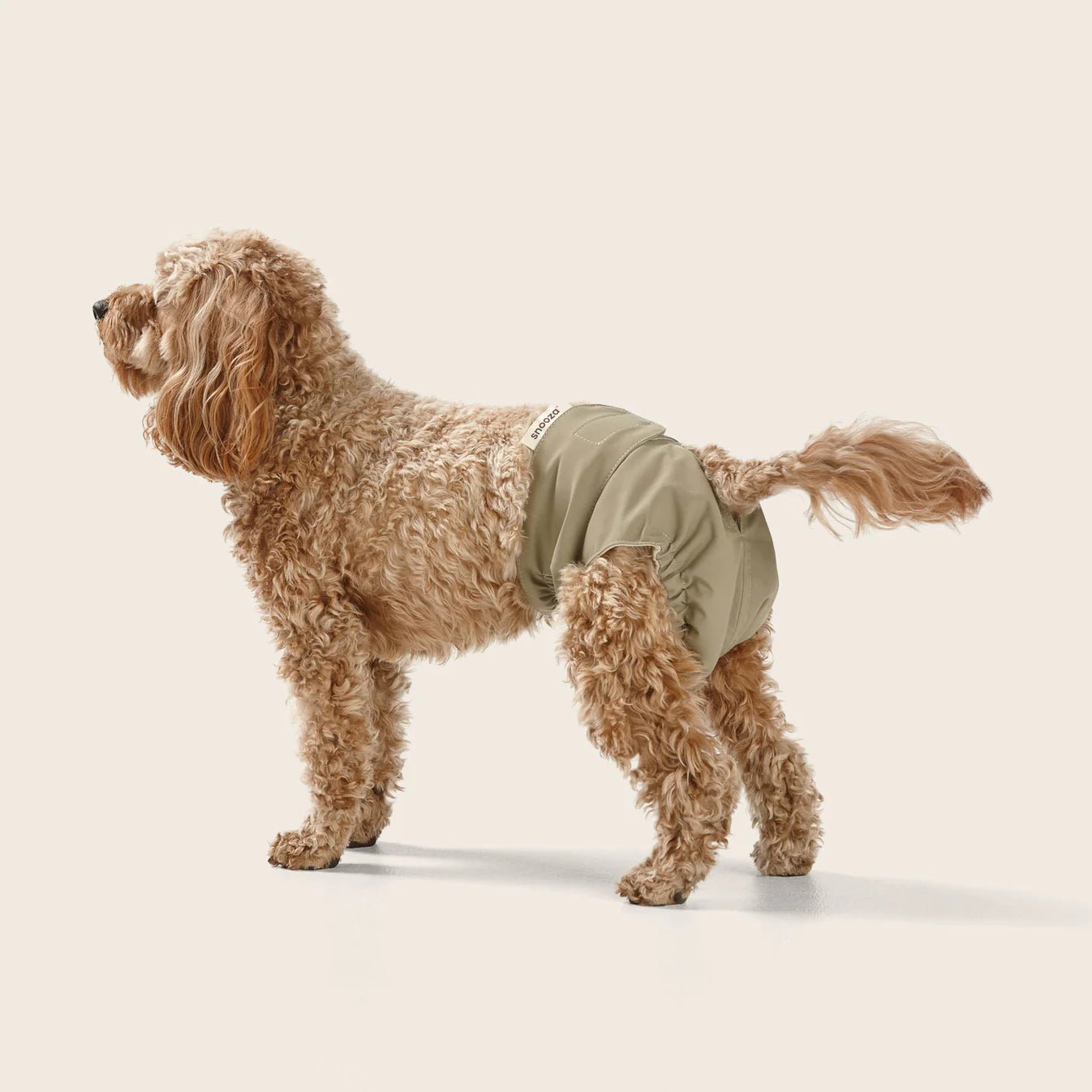 Washable Female Dog Diapers - Reusable Twin Pack for Incontinence & Heat, Perfect for Indoor Use & Travel