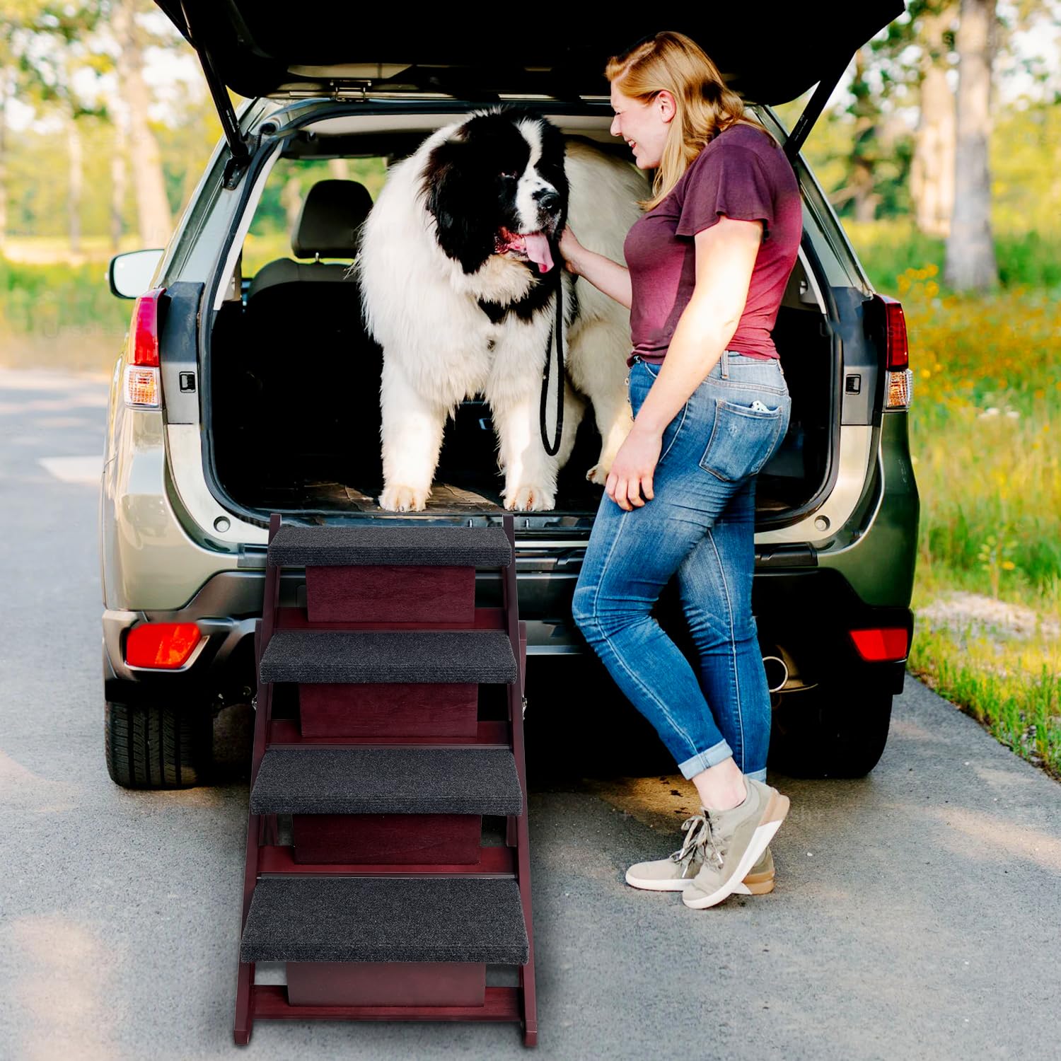 BRIKY Foldable 4-Step Wooden Pet Stairs for Dogs & Cats - Non-Slip Dog Steps for High Beds, Couches & Cars - No Assembly Required - Perfect for Small, Medium & Large Pets (Use for Bed Access, Car Entry & Sofa Climbing)