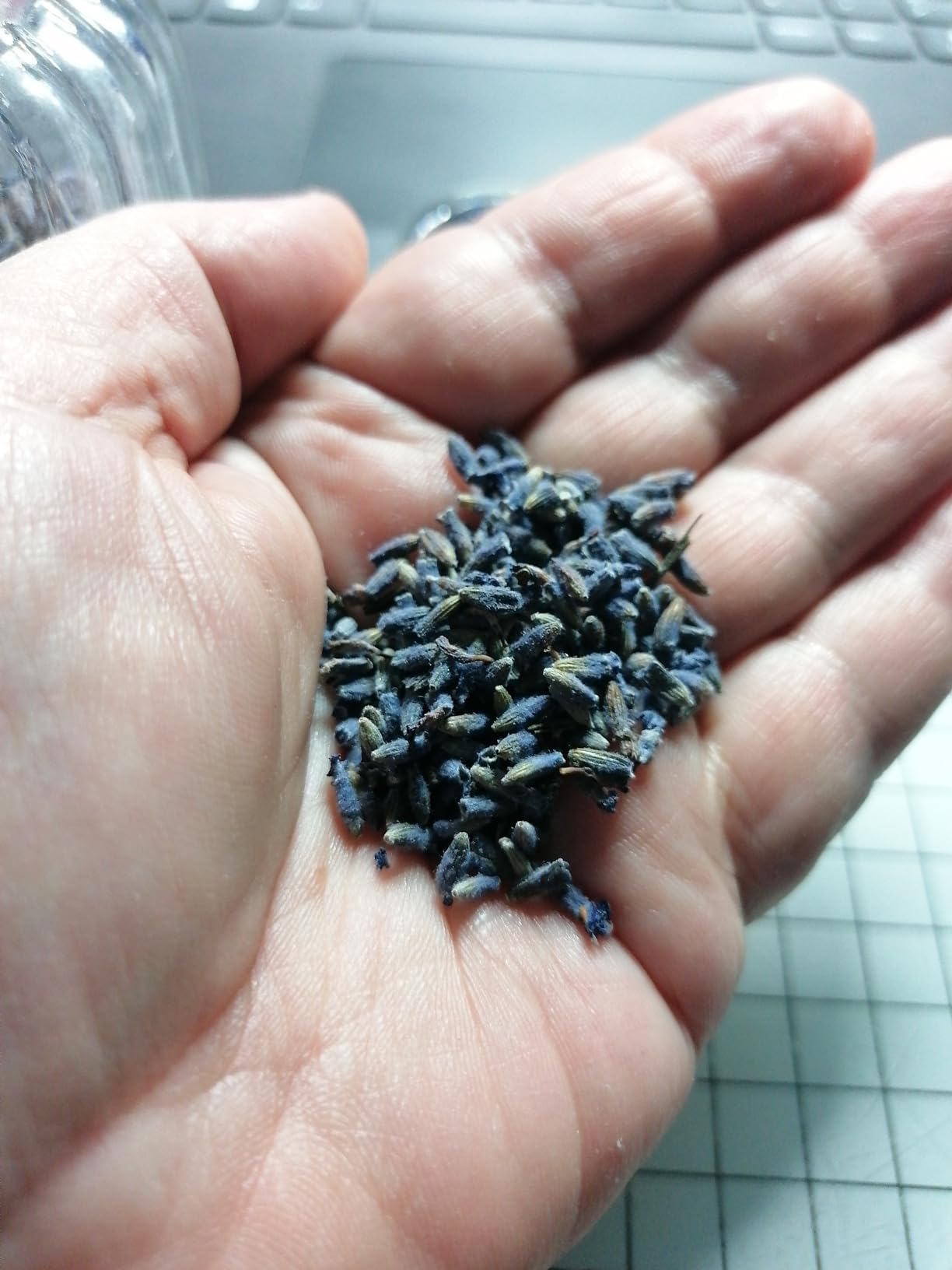 20X Lavender Sachets for Wardrobe (7x9cm) - Natural Moth Repellent Bags for Closets, Drawers, Pillows, Cars & Shoe Cabinets - Freshen Clothes & Small Spaces with Relaxing Aroma