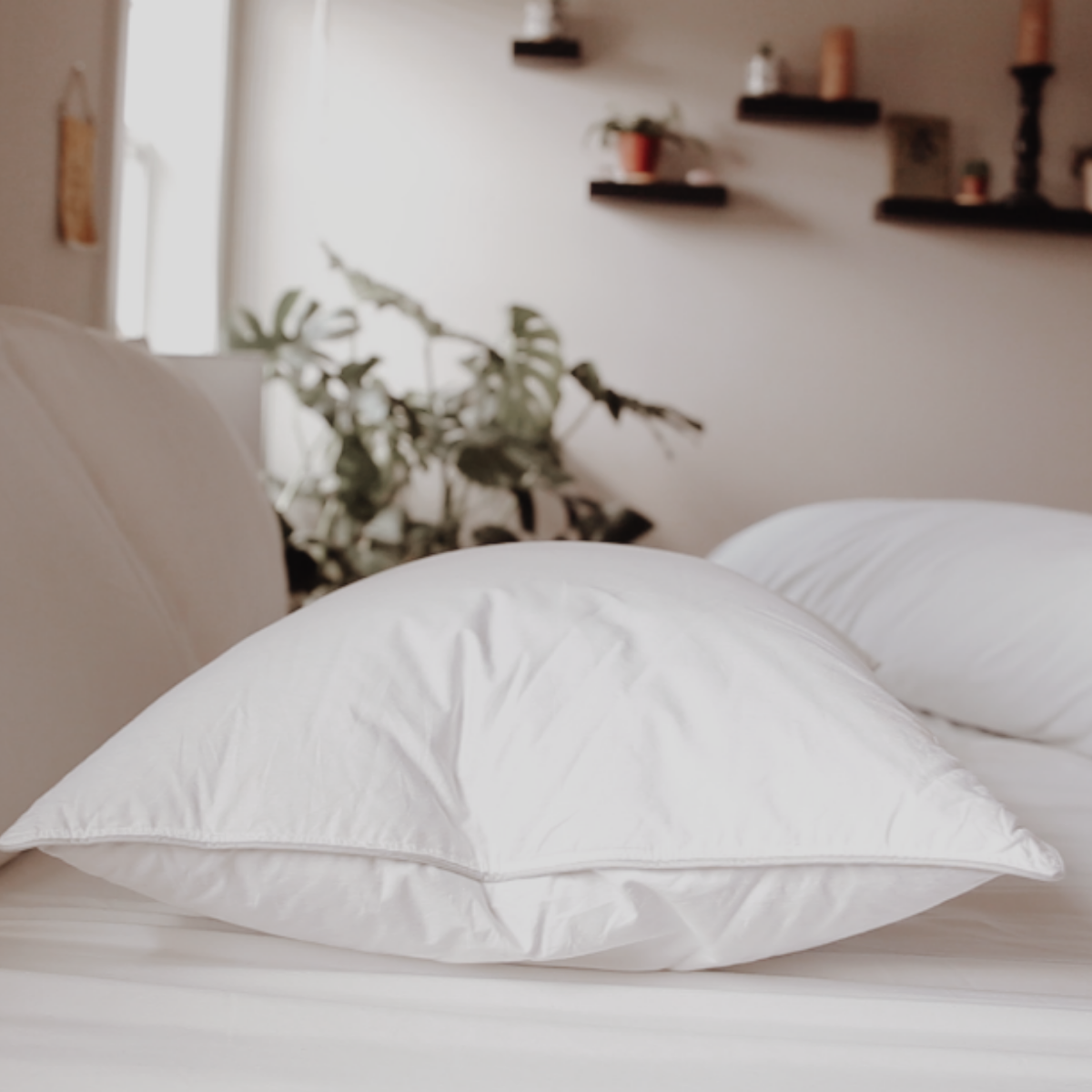 Down Dreams Classic Firm Pillow - Supportive Memory Foam Pillow for Side & Back Sleepers - Orthopedic Neck Support - Ideal for Home, Travel & Hotel Use