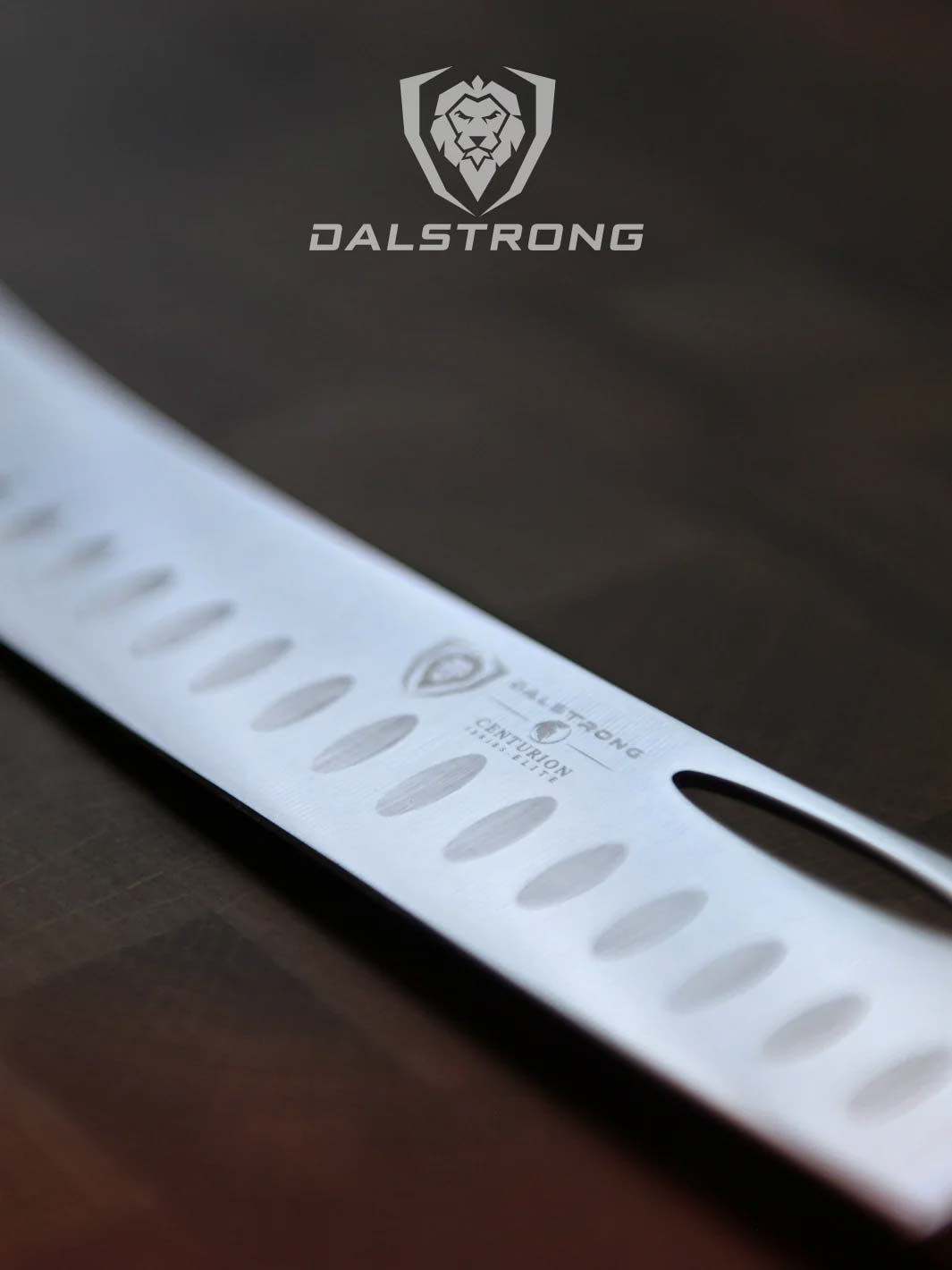 Premium Dalstrong Butcher & Breaking Knife 10