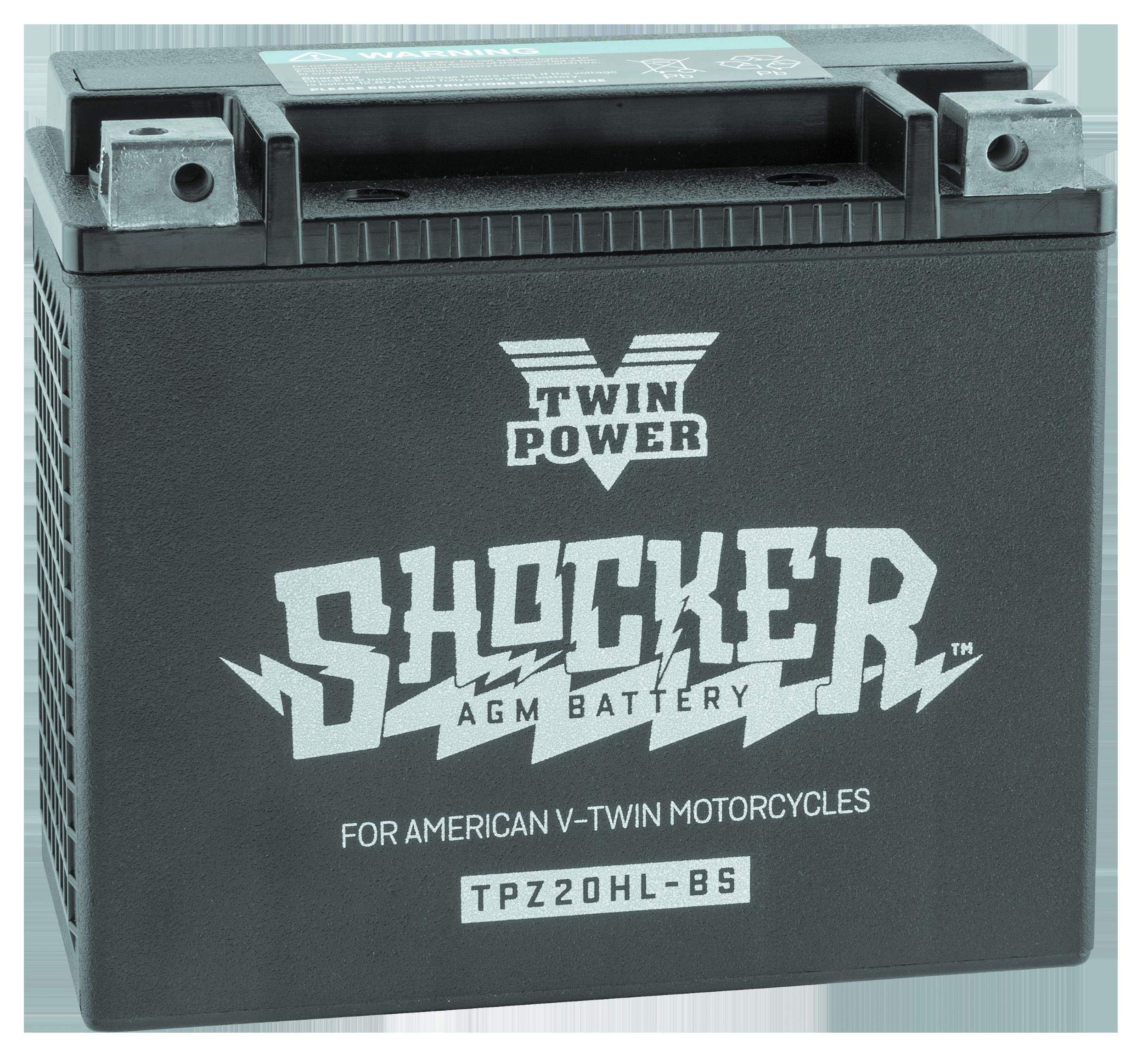 Premium AA Twin Power Shocker Batteries - Long Lasting High Performance Alkaline Batteries for Toys, Flashlights, and Remote Controls