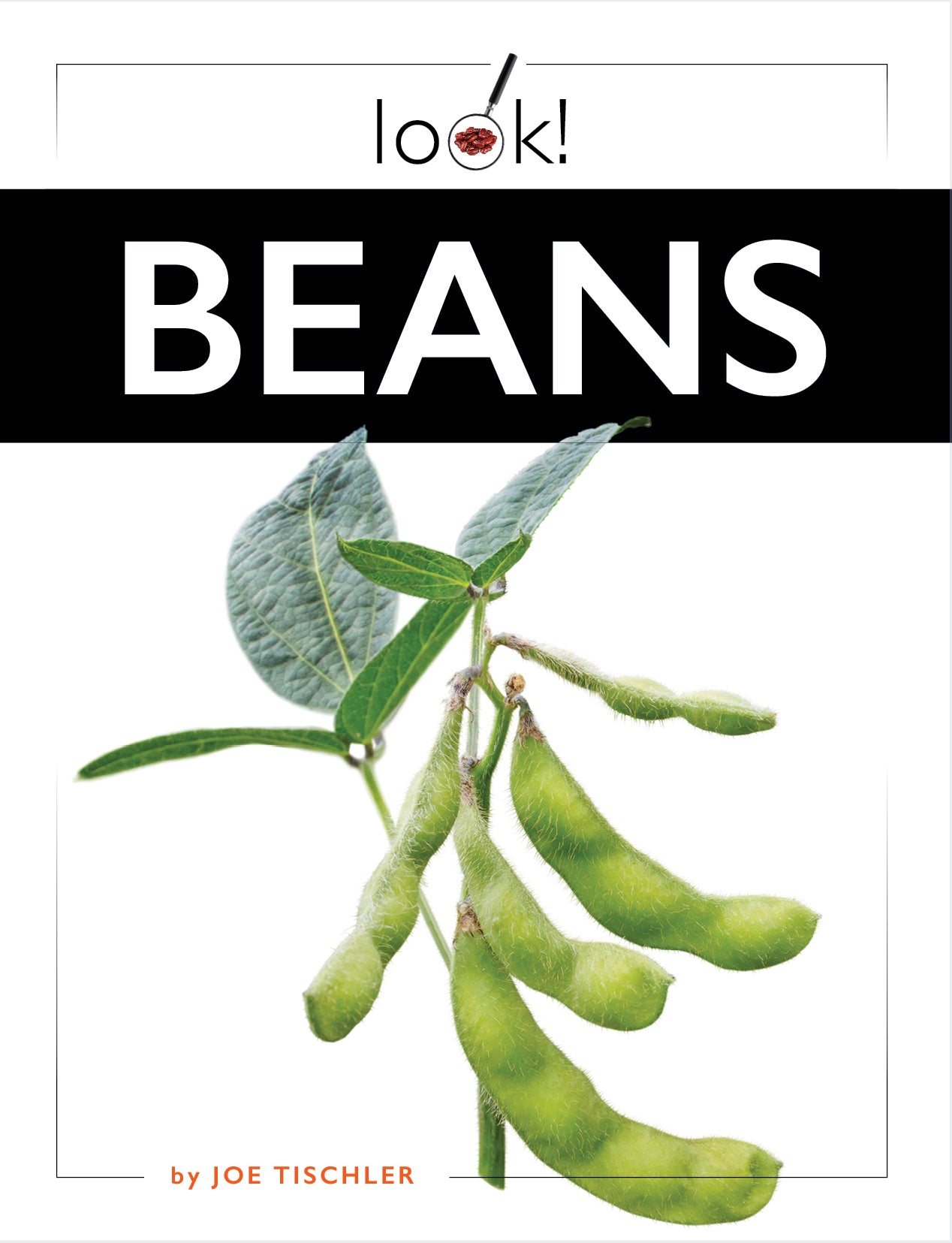 Organic Black Beans 16oz - Non-GMO, Gluten-Free, High Protein - Perfect for Soups, Salads, and Vegan Recipes | 9781640268517