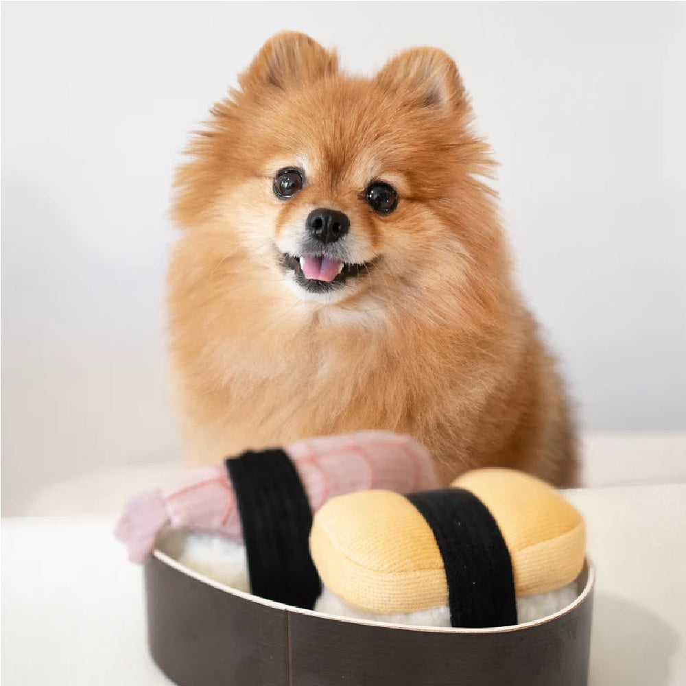 Durable 2-Piece Sushi Dog Toy Set - Chew-Resistant Plush Puppy Toys for Small & Medium Dogs - Perfect for Playtime, Training & Cuddling