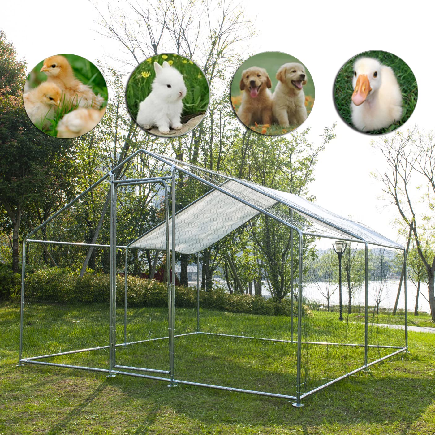 GojoOasis 10x10ft Walk-In Chicken Coop with Roof Cover - Large Metal Poultry Cage for Hens, Ducks & Birds - Outdoor Backyard Hen House (10'L x 10'W x 6.6'H) - Perfect for Free-Range Farming, Backyard Poultry Keeping & Pet Shelter