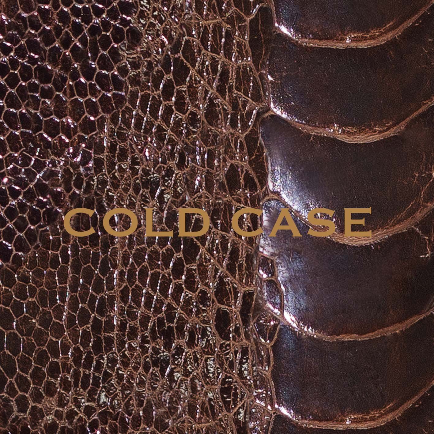 COLD CASE First Press Edition - Limited Vinyl Record for Music Collectors & Audiophiles - Perfect for Home Listening & Vintage Music Enthusiasts