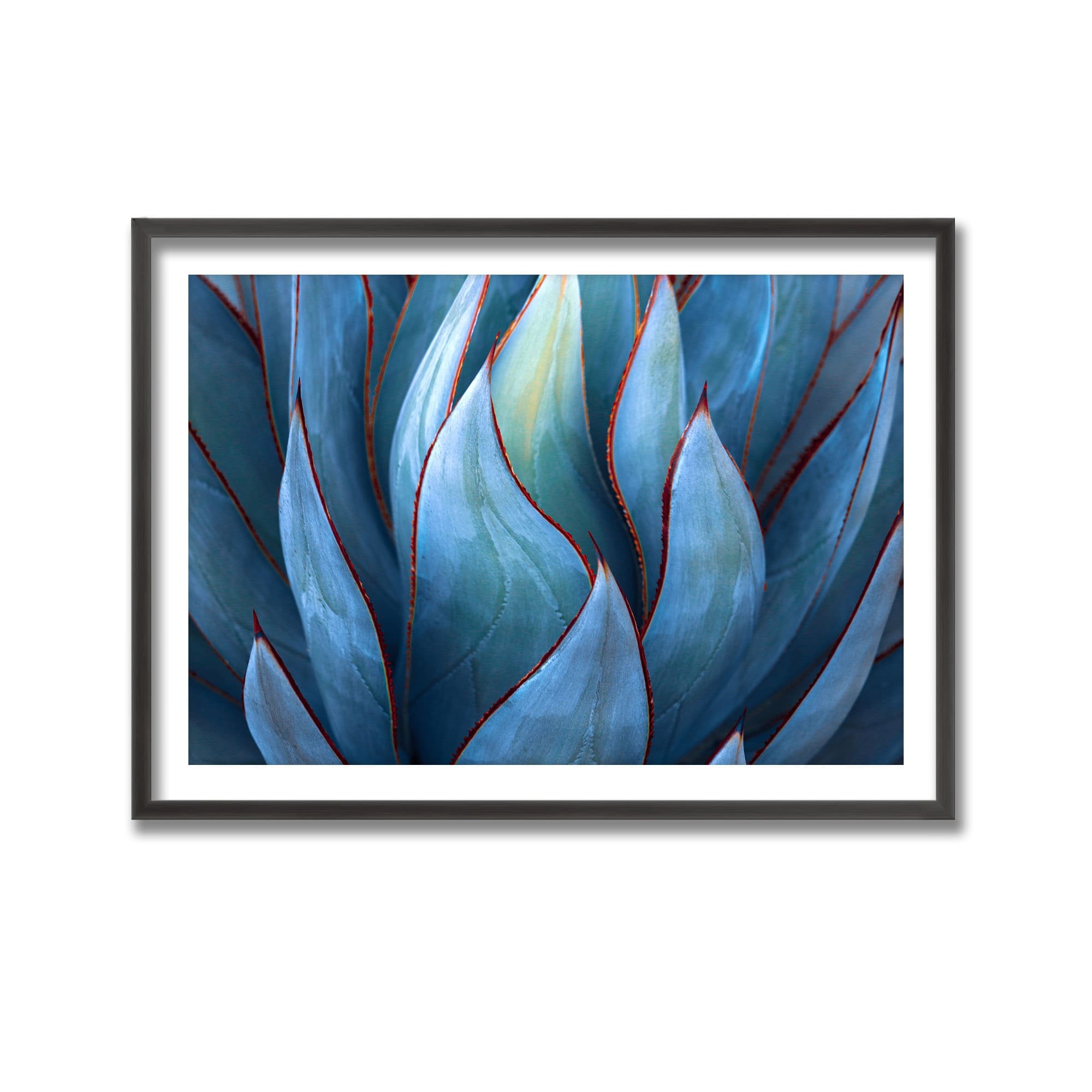 Blue Agave Abstract Framed Print Wall Art by Robin Wechsler - Modern Botanical Home Decor for Living Room, Bedroom & Office