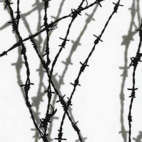 Water Transfer Printing Film - Hydrographic Dipping Film for DIY Camouflage Patterns (Shadow Barb Wire Design LL-209) - Perfect for Automotive Parts, Motorcycle Helmets, and Hunting Gear Customization