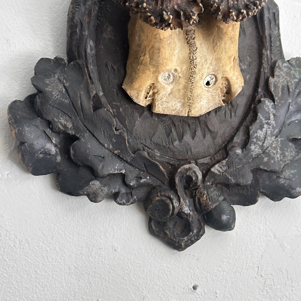 Black Forest Antlers on Carved Wood Plaque - Handcrafted Deer Antler Decor for Cabin, Lodge & Hunting Room - Perfect Rustic Wall Art for Home, Office or Man Cave Decorating