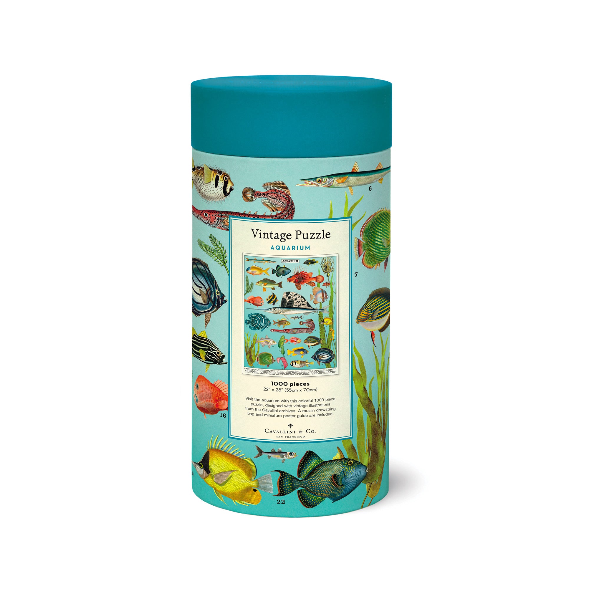 1,000 Piece Jigsaw Puzzle - Colorful Fish Underwater Scene - Perfect for Family Game Night & Stress Relief