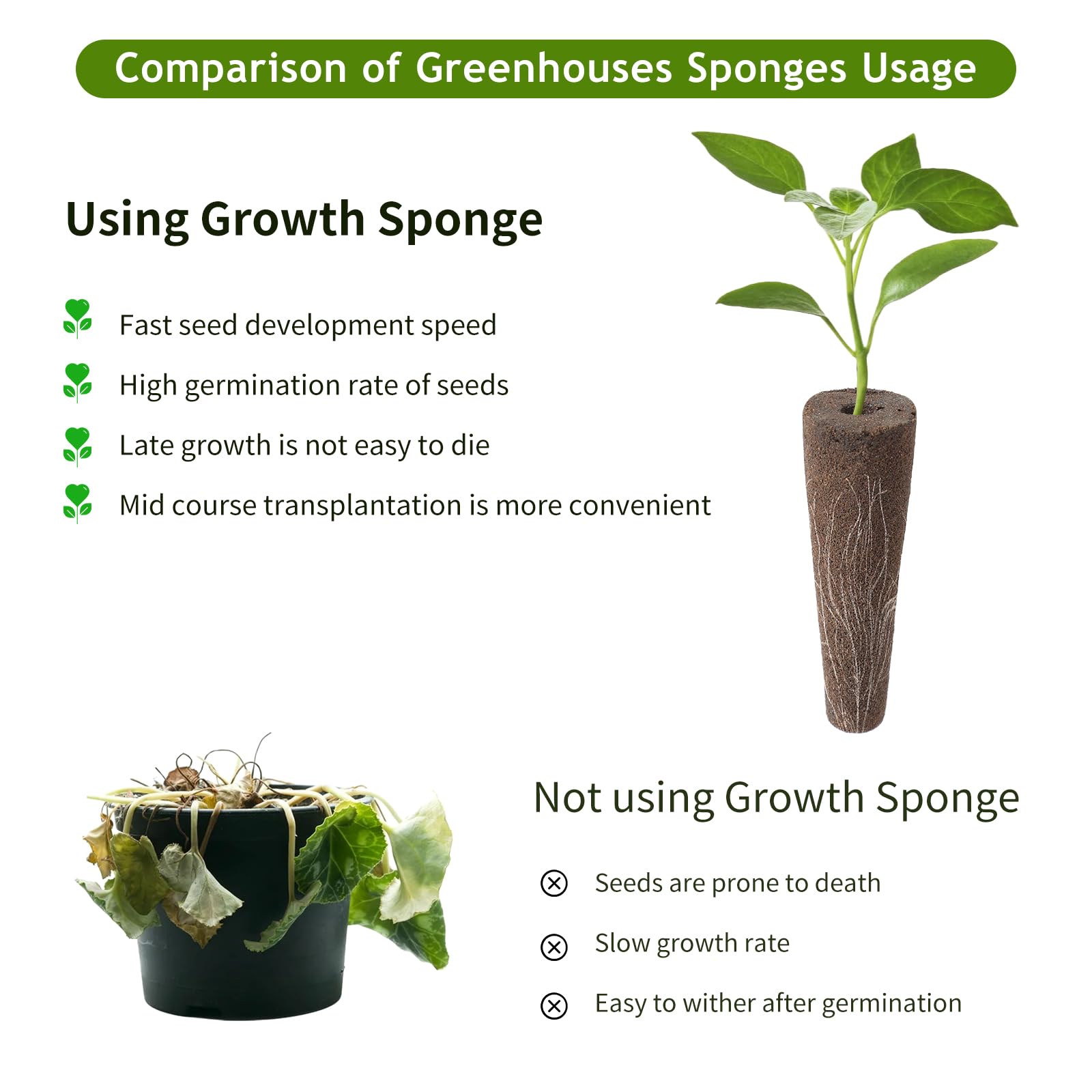 50Pcs Hydroponic Grow Sponges - Seed Starter Pods for Plant Root Growth, Replacement Sponges Compatible with Hydroponic Systems | Perfect for Indoor Gardening, Herb Kits & Hydroponic Seed Starting