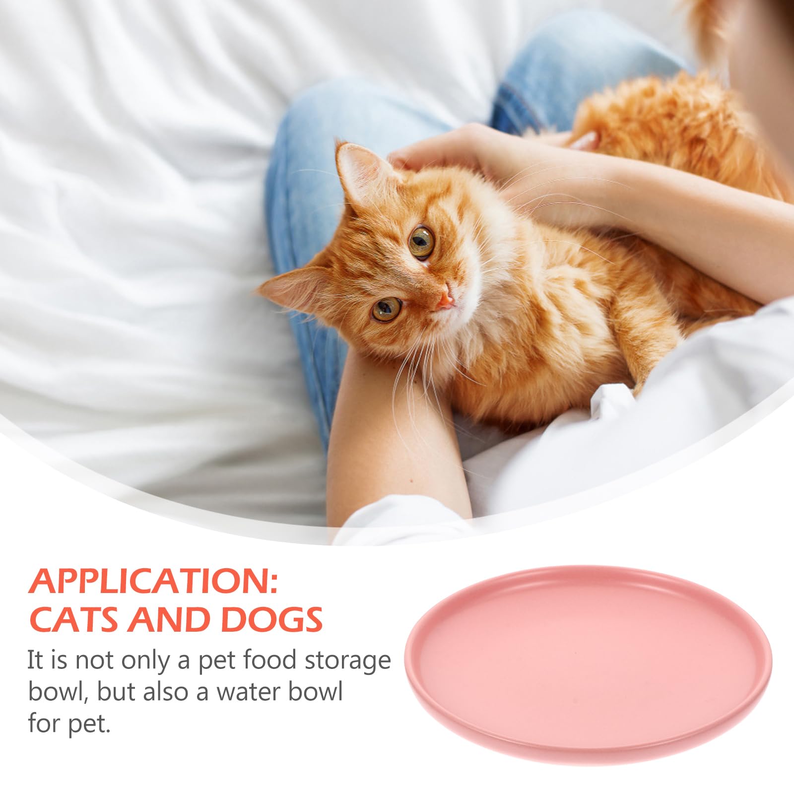 Premium Ceramic Cat Food Bowl - Shallow Dish for Dogs & Cats - Anti Whisker Fatigue Design - Ideal for Dry, Wet Food & Water - Perfect for Indoor Cats & Kittens - Great for Home, Kitchen, or Pet Feeding Station